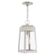 Option Brushed nickel with clear glass
