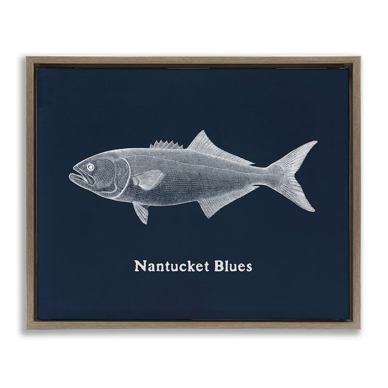 Stupell Nantucket Blues Fish Framed Floater Canvas Wall Art Design By Phillipa Katz - 31 x 25 - Brown