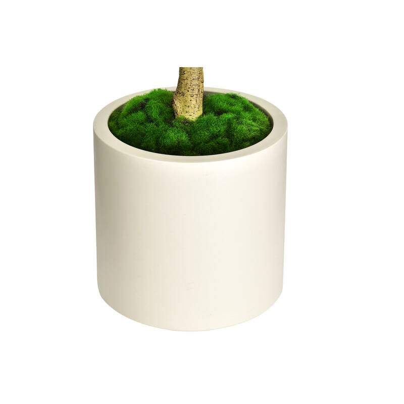 Artificial Ficus Tree in White Decor Pot