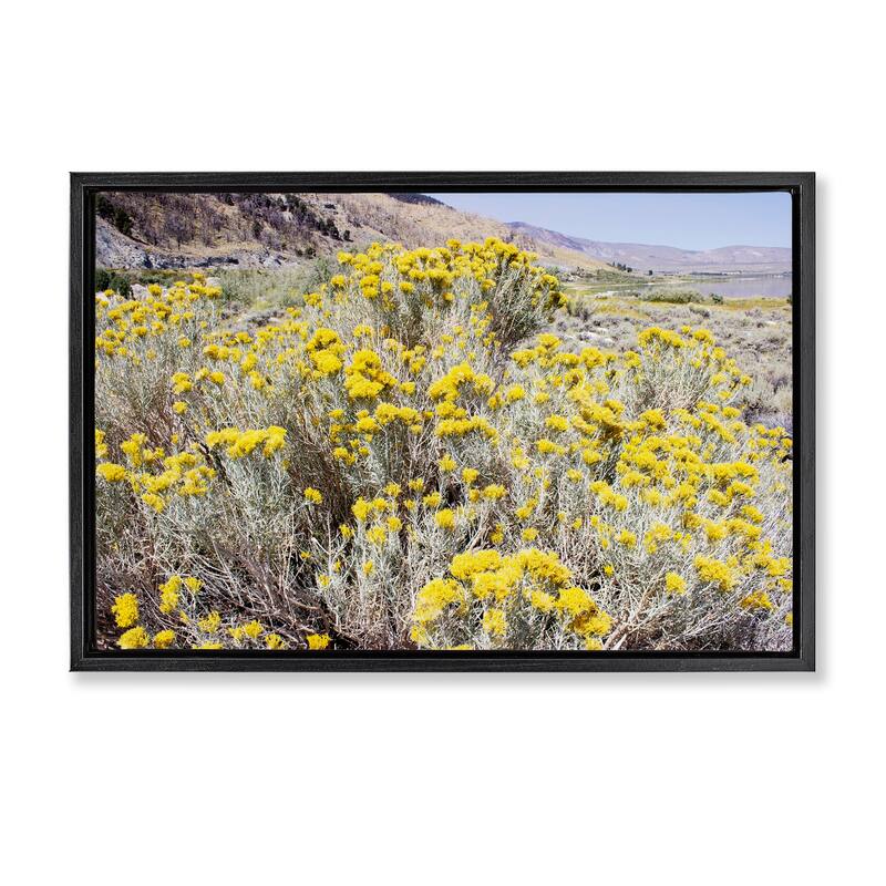 Stupell Yellow Flowers in Arid Meadow Framed Floater Canvas Wall Art Design By Gemma Bardot - 25 x 17 - Black
