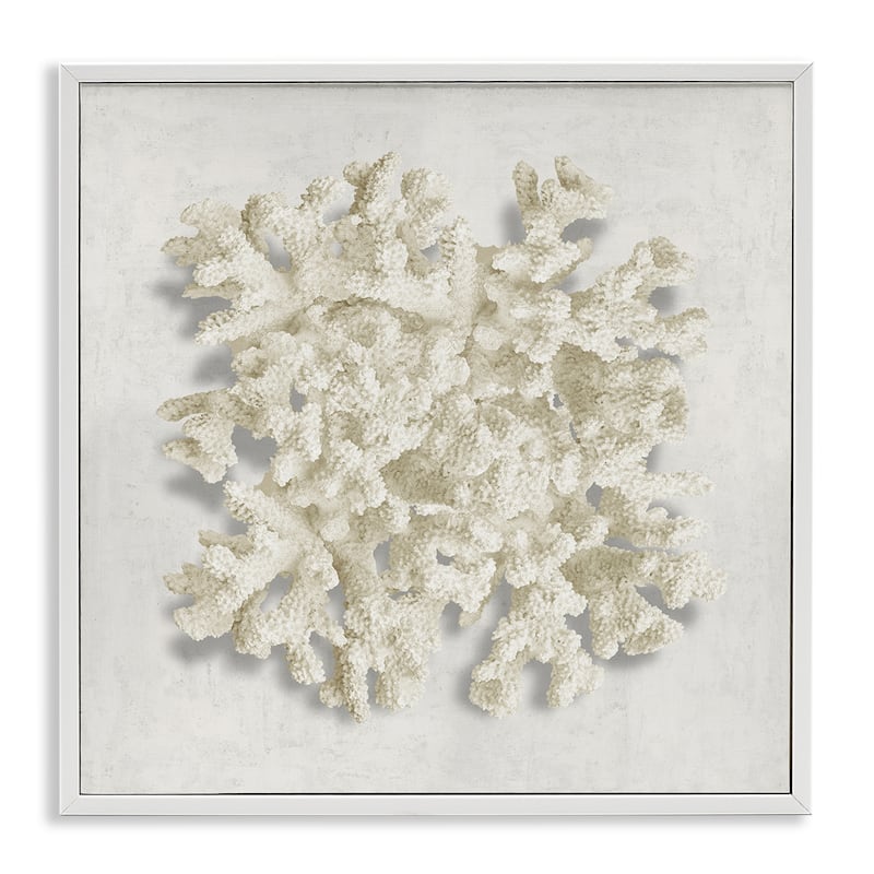 Stupell Aquatic Neutral Coral Framed Giclee Art Design By Caroline Kelly - 24 x 24 - White