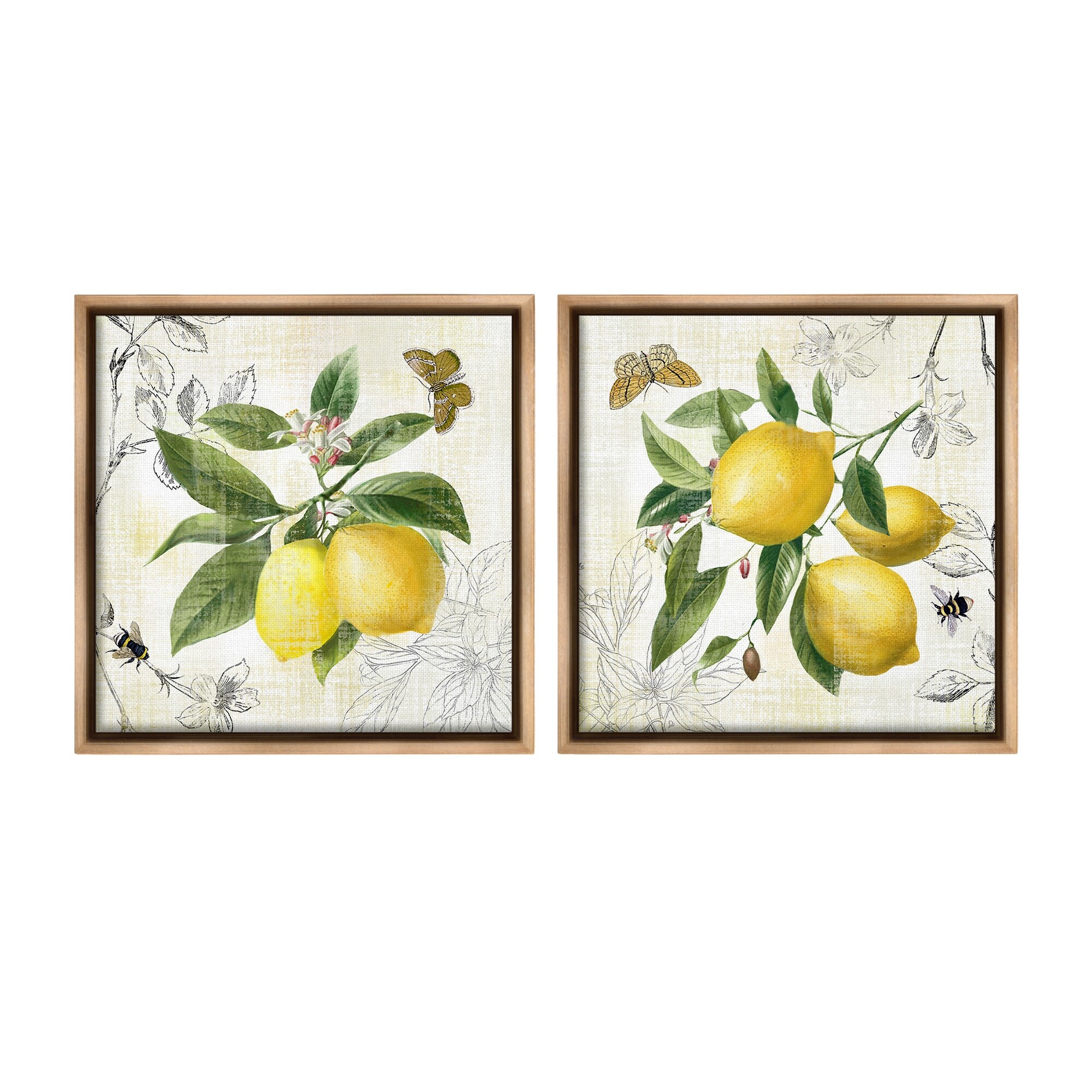 Stupell Distressed Country Lemons Framed Floater Canvas Wall Art Design By Nan (Set of 2)