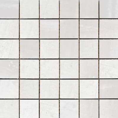 The Tile Life Hudson 2x2 White Ceramic Wall Tile