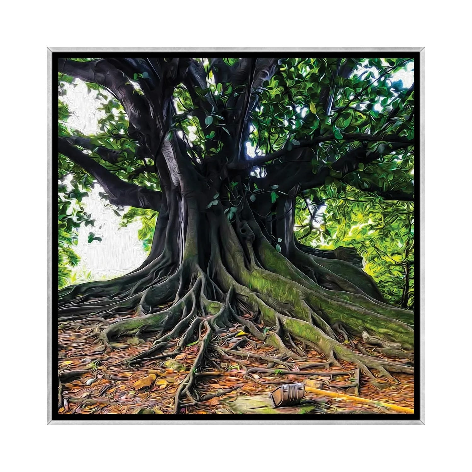 iCanvas "A Large Tree With Branchy Roots" by Ievgeniia Bidiuk Framed