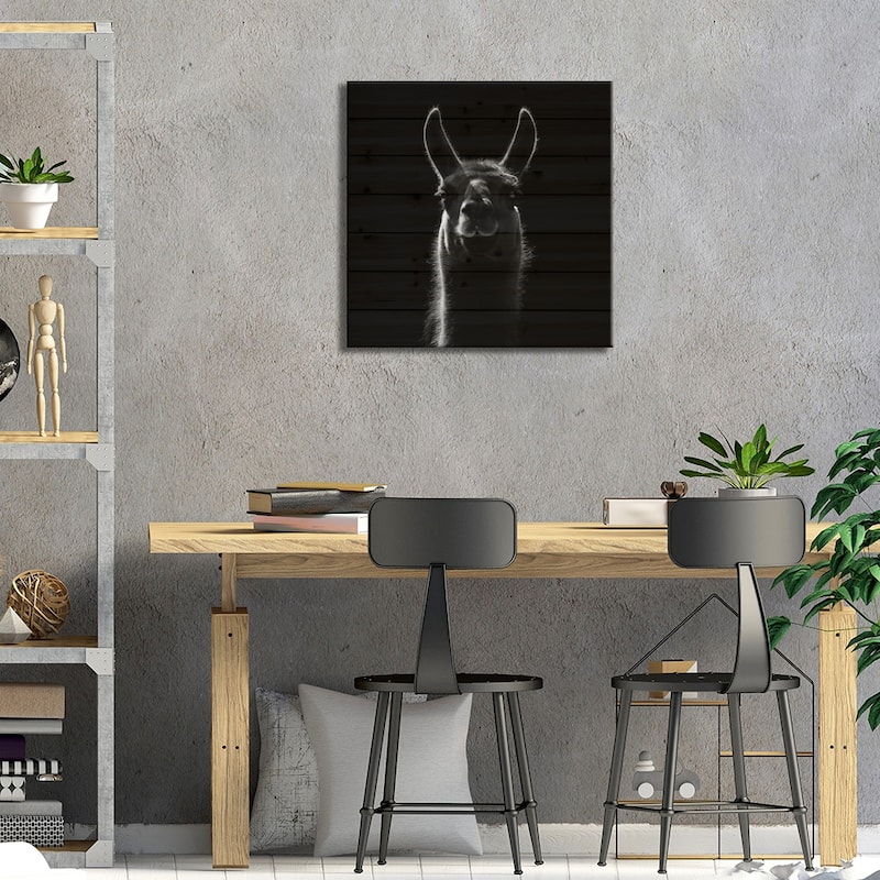 Llama In Black & White Print On Wood by Lukas Holas - Multi-Color