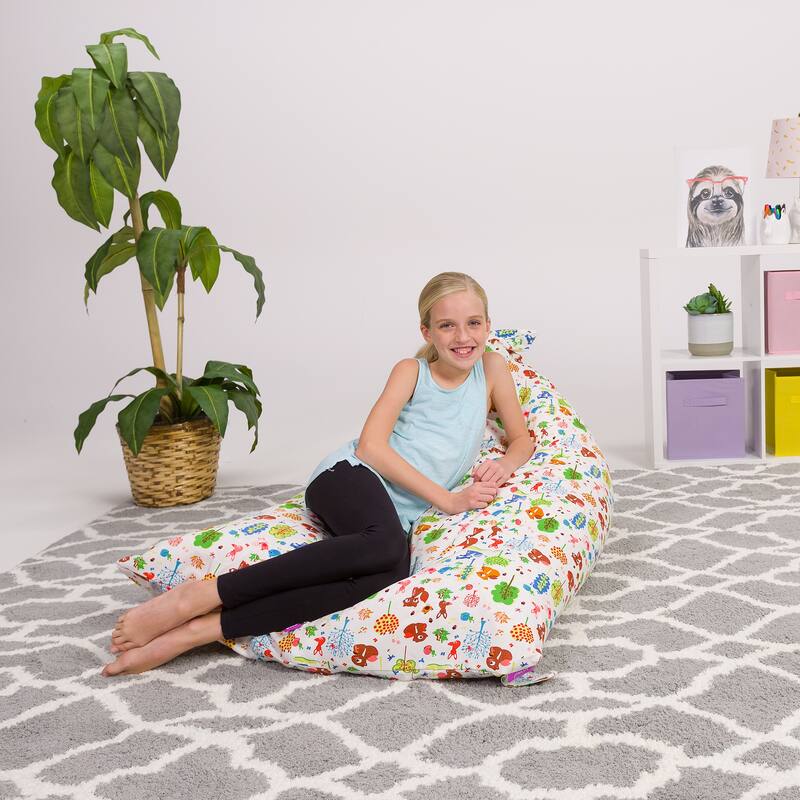Stuffie Animal Storage Bean Bag Chair Cover, Room Organizer