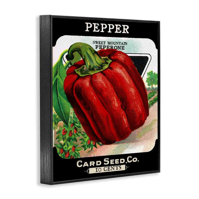 Stupell Vintage Garden Peppers Framed Giclee Art Design By Lil' Rue