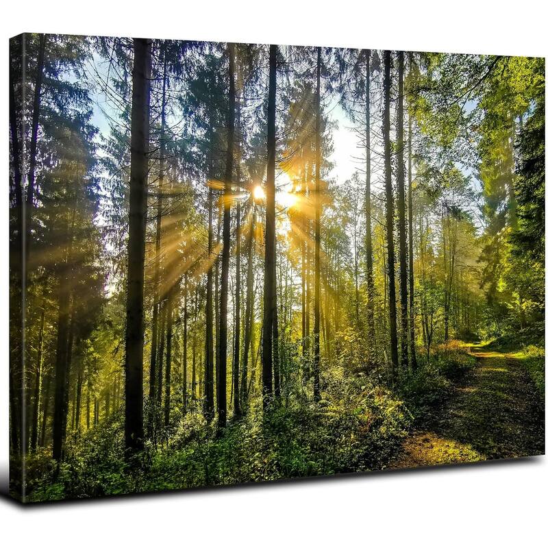 Nature Forest Canvas Wall Art - 16 x 12