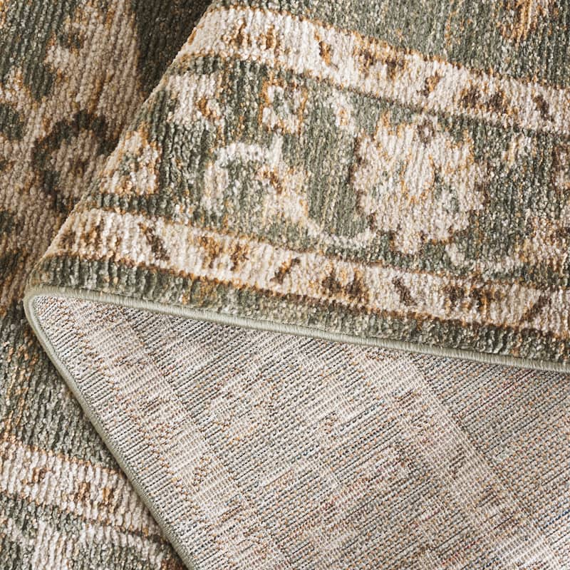 SAFAVIEH Hazel Emmanuelle Traditional Oriental Rug