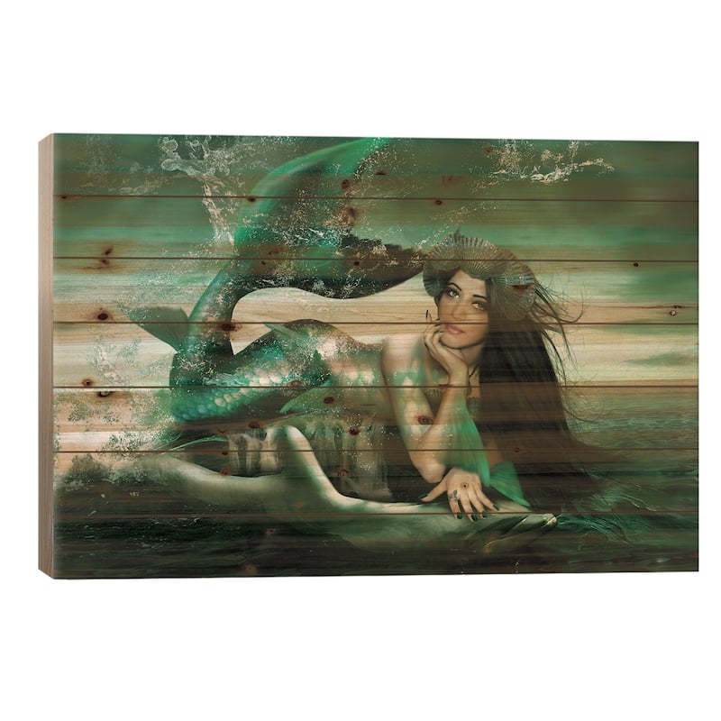 Splash Print On Wood by Babette Van den Berg - Multi-Color - 18x26x1.5