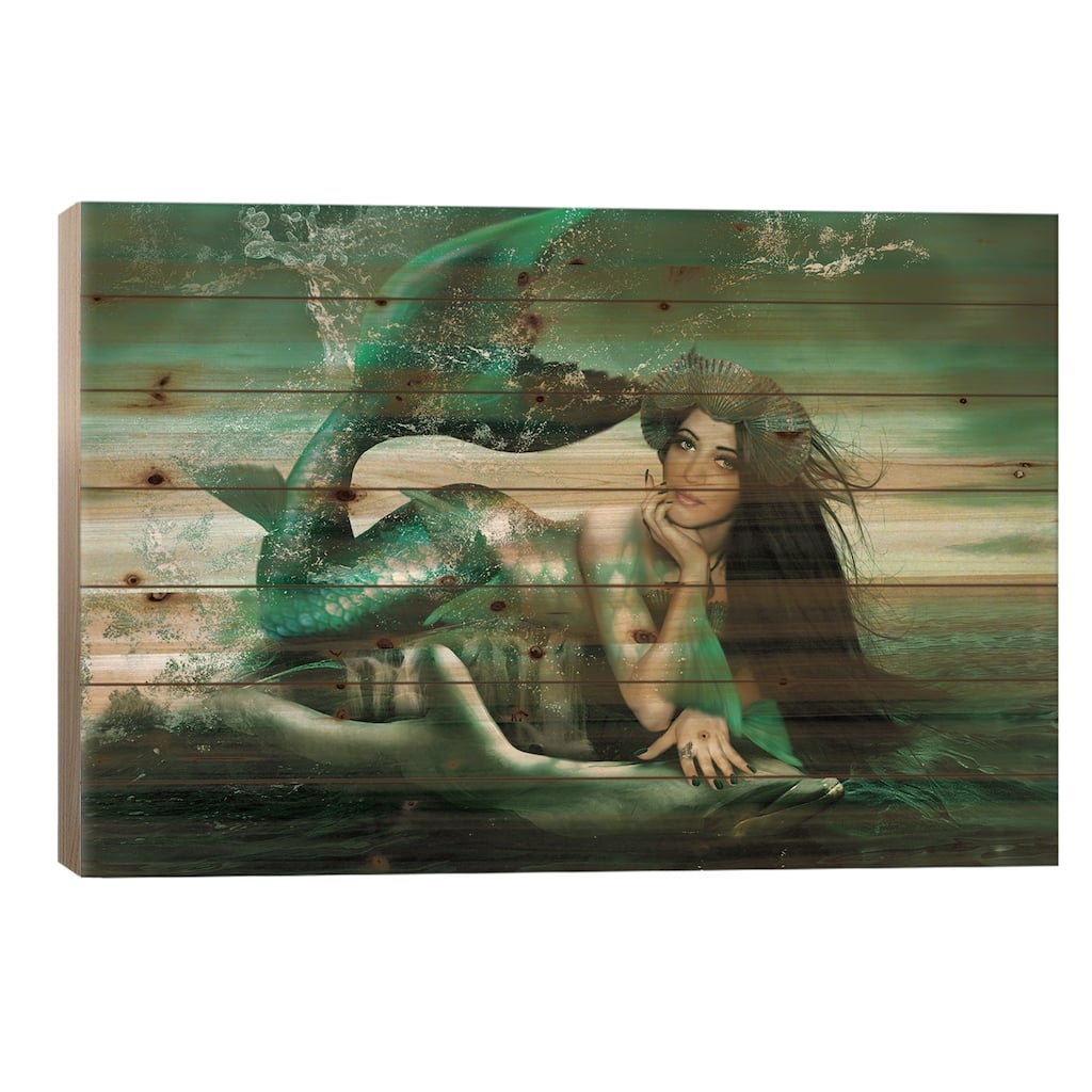 Splash Print On Wood by Babette Van den Berg - Multi-Color