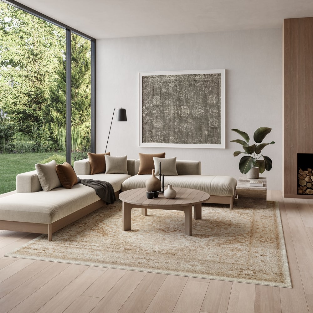 Nourison Dekor Indoor only Persian Area Rug