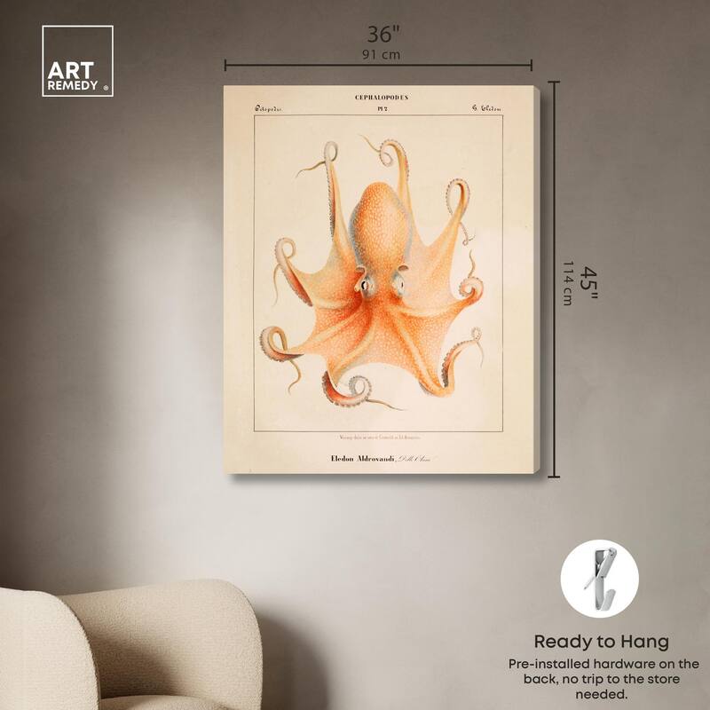 Verany The Octopus 1815 II Canvas by Art Remedy, Gallery Wrapped