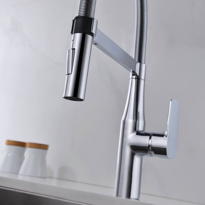 Dowell Series 8002/016 Single Handle Kitchen Faucet/Sprayer