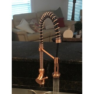 Brienza Antique Copper Residential Spring Coil Kitchen Faucet Brienza Antique Copper Residential Spring Coil Kitchen Faucet