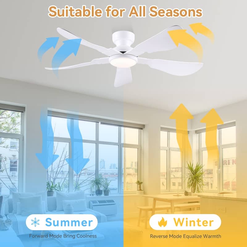 32/36/46/52 inches Low Profile Ceiling Fan with Light and Remote for Living Room Bedroom Kid's Room Patio