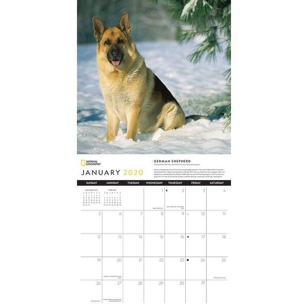 Shop Calendars German Shepherds National Geographic Wall Calendar