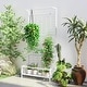 preview thumbnail 10 of 16, Outsunny Tall Plant Stand with Trellis and Hanging Bar, Metal Plant Holder Flower Stand White
