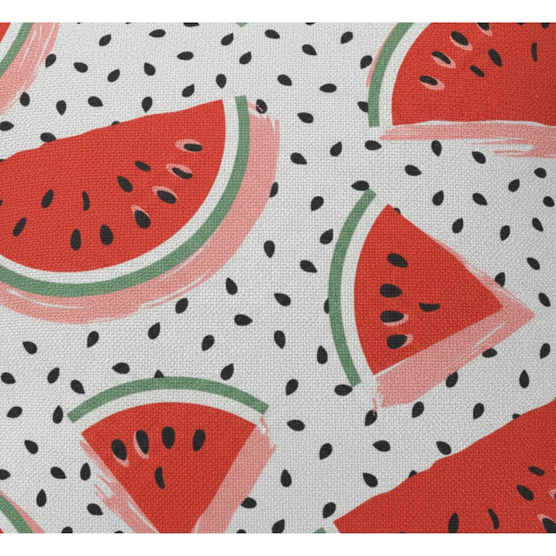 Watermelons Print Outdoor Pillow 16 x 16 in Multi - 16X16