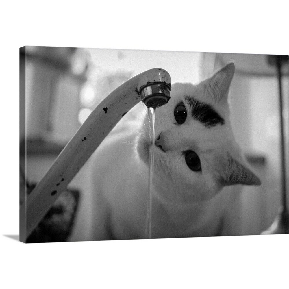 Shop Cat Drinking Water From Faucet Multi Color Free Shipping