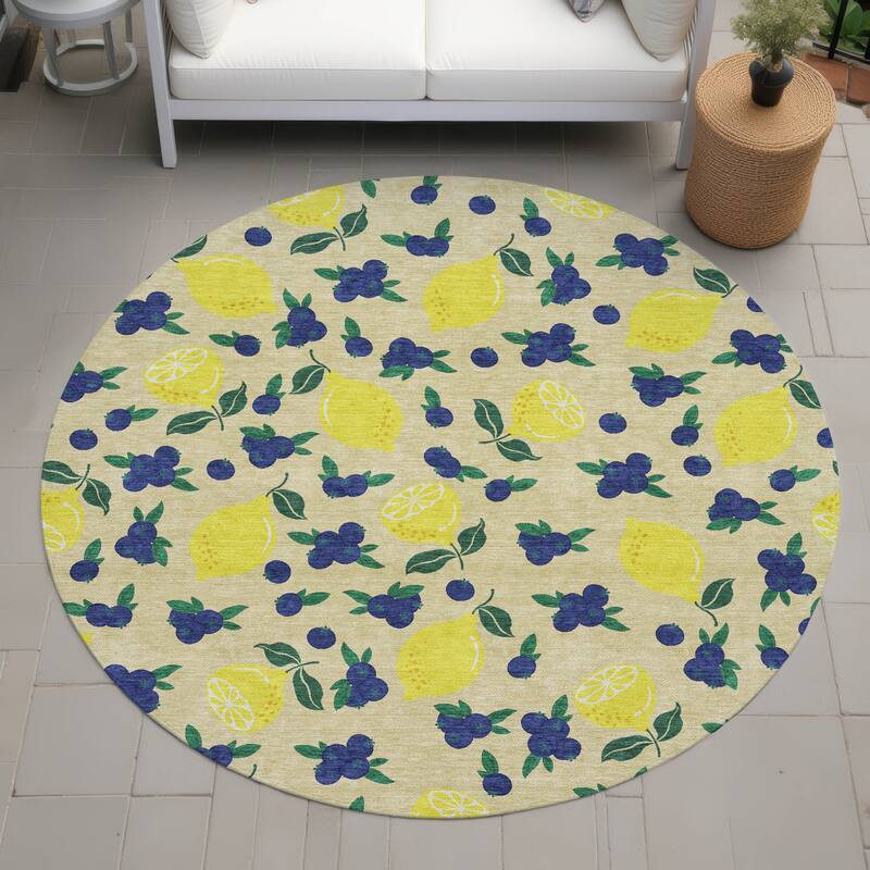 Machine Washable Indoor/ Outdoor Citrus Berry Chantille Rug - Wheat - 8' x 8'