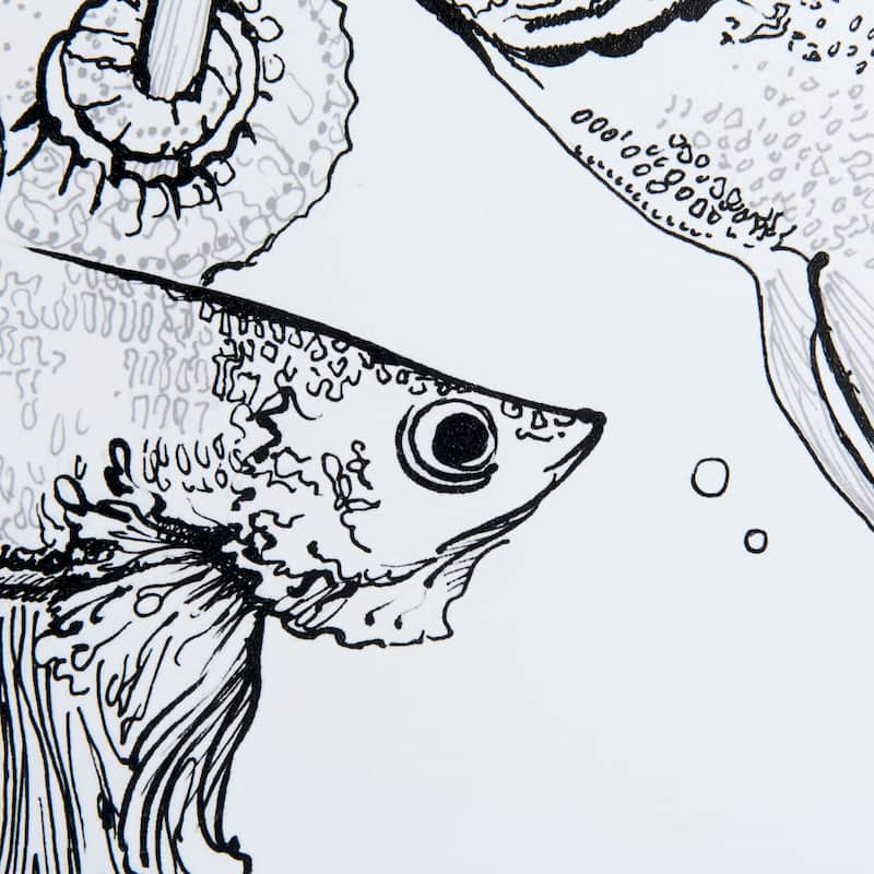 Fish White Framed Art Print