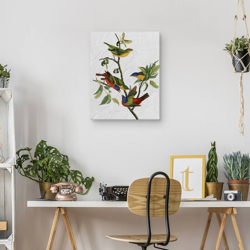 Audubon Painted Finch Texture by Design Lab Canvas Art Print
