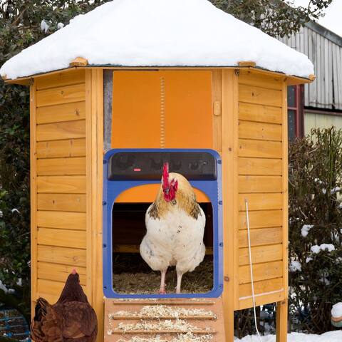 ALEKO Automatic Chicken Coop House Door Opener Light Sensor Battery Operated - 9.45L x 1.77W x 13.78H in.