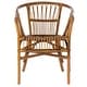 preview thumbnail 8 of 14, SAFAVIEH Adriana Rattan Accent Chairs (Set of 2) - 22.8" W x 23.6" L x 30.3" H