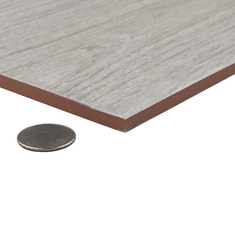 Merola Tile Fronda Perla 7-7/8" x 23-5/8" Ceramic Floor and Wall Tile