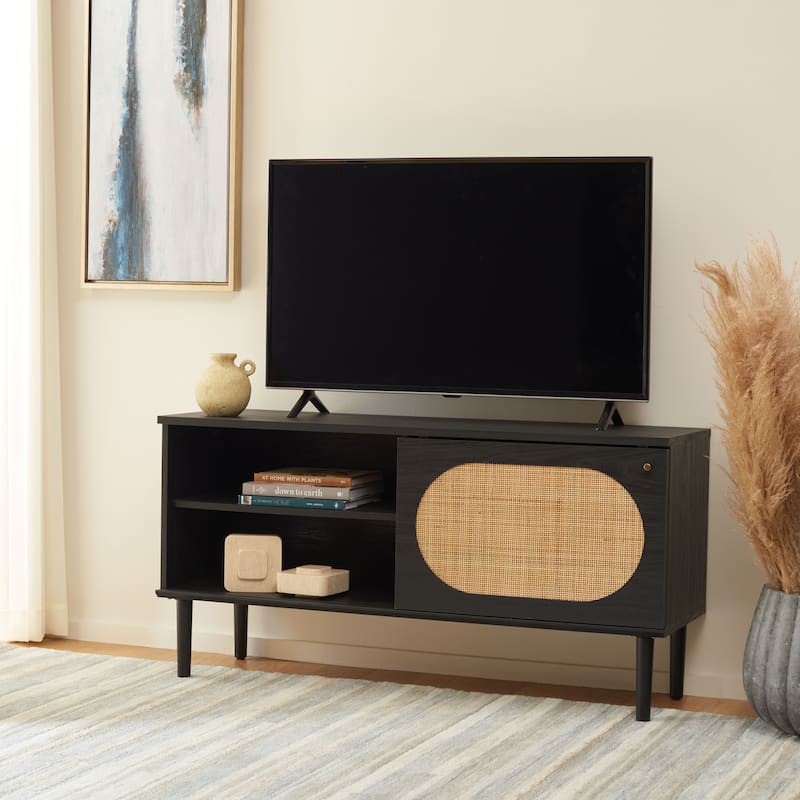 SAFAVIEH Sade Single Door 2-Shelf Media Stand - 47" W x 15" D x 24" H - 47Wx15Dx24H