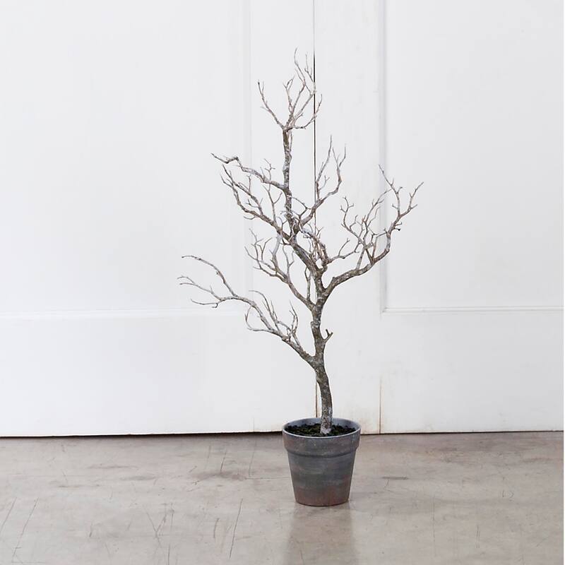 31" Potted Deadwood Twig Tree