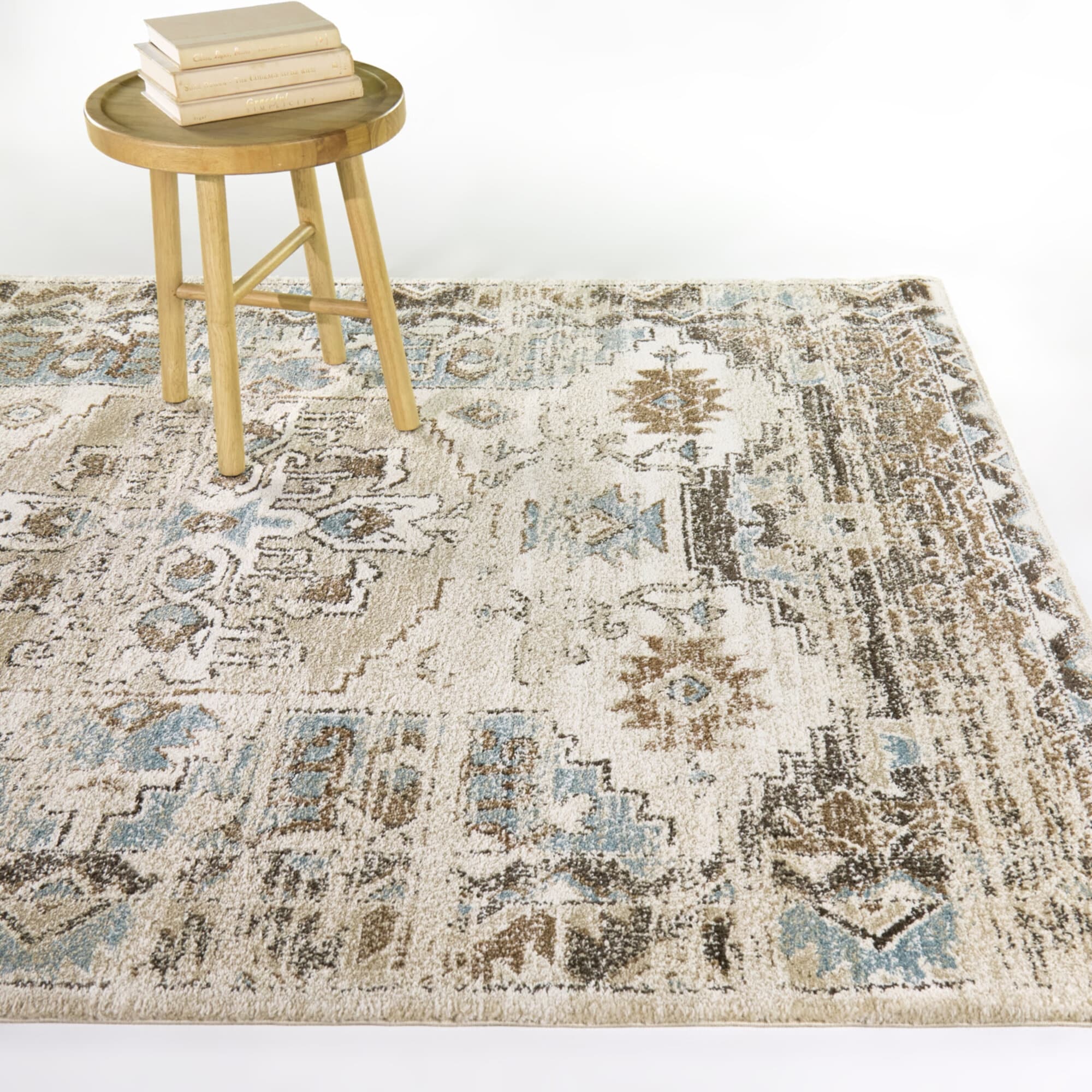 Louise Southwestern Traditional Area Rug