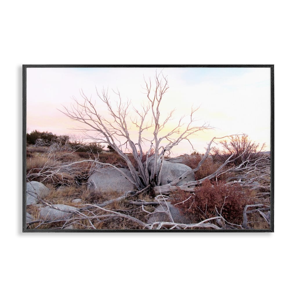 Stupell Rocky Foothills Terrain Framed Giclee Art Design By Gemma Bardot