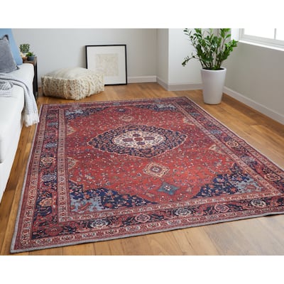 Birchlawn R39HD Medallion Transitional Area Rug