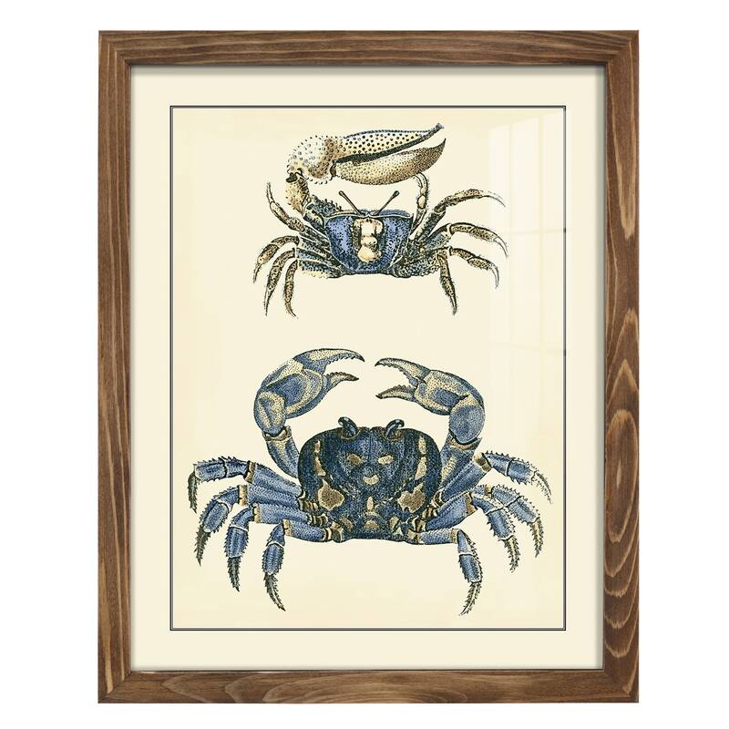 Antique Blue Crabs II -Framed Print w/glass-Cherry Red