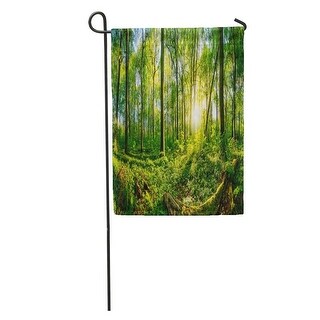 Shop Green Forrest Sunset In The Forest Tree Panorama ...