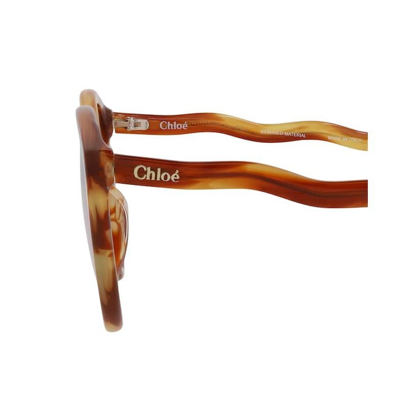 Chloé Cat Eye-Frame Bio Acetate Sunglasses - NS