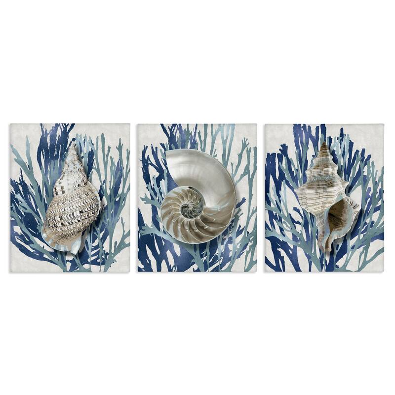 Stupell Trio of Shell Coral Blue Beach Design, 3pc Multi Piece Canvas Wall Art Set