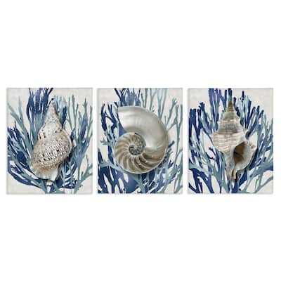 Stupell Trio of Shell Coral Blue Beach Design, 3pc Multi Piece Canvas Wall Art Set