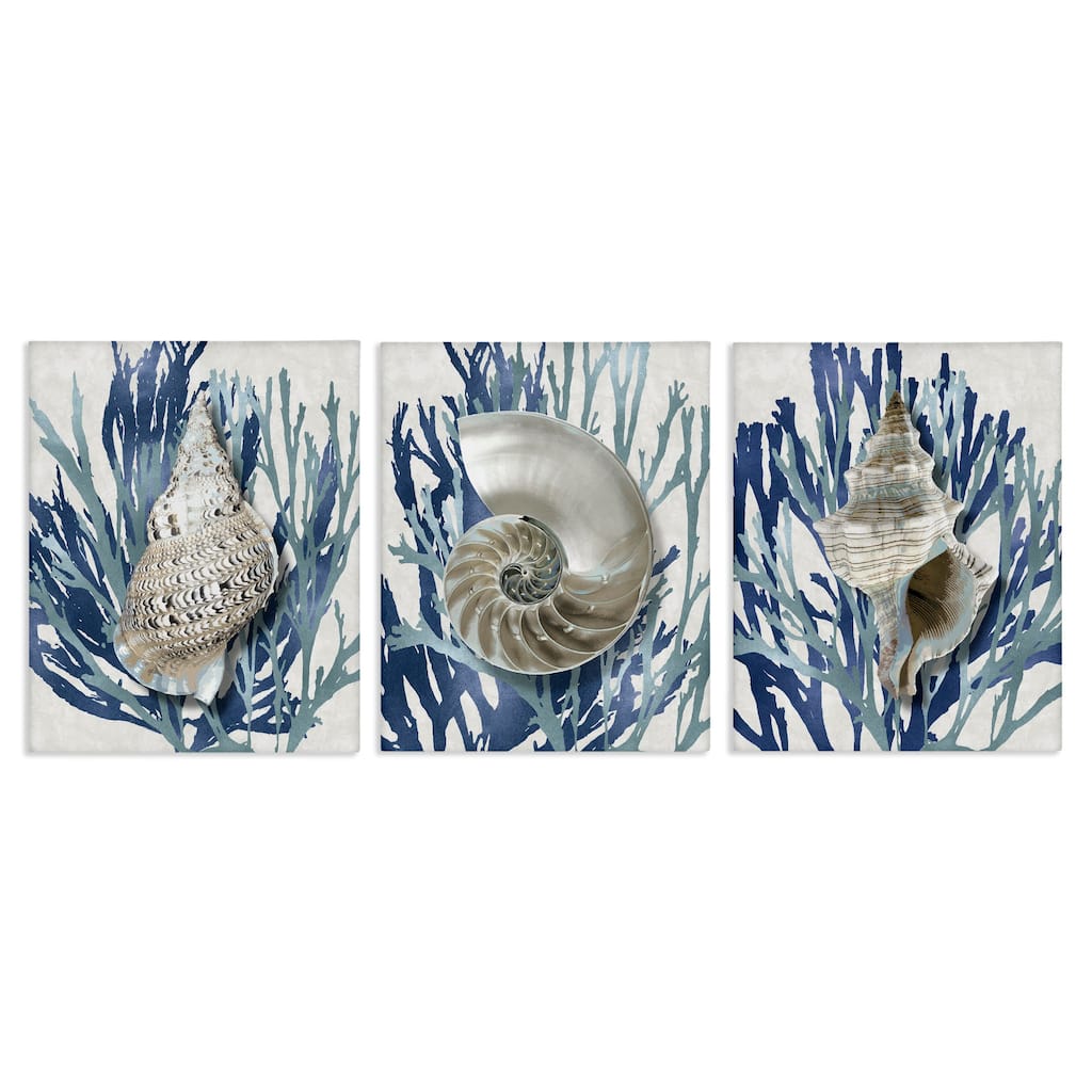 Stupell Trio of Shell Coral Blue Beach Design, 3pc Multi Piece Canvas Wall Art Set