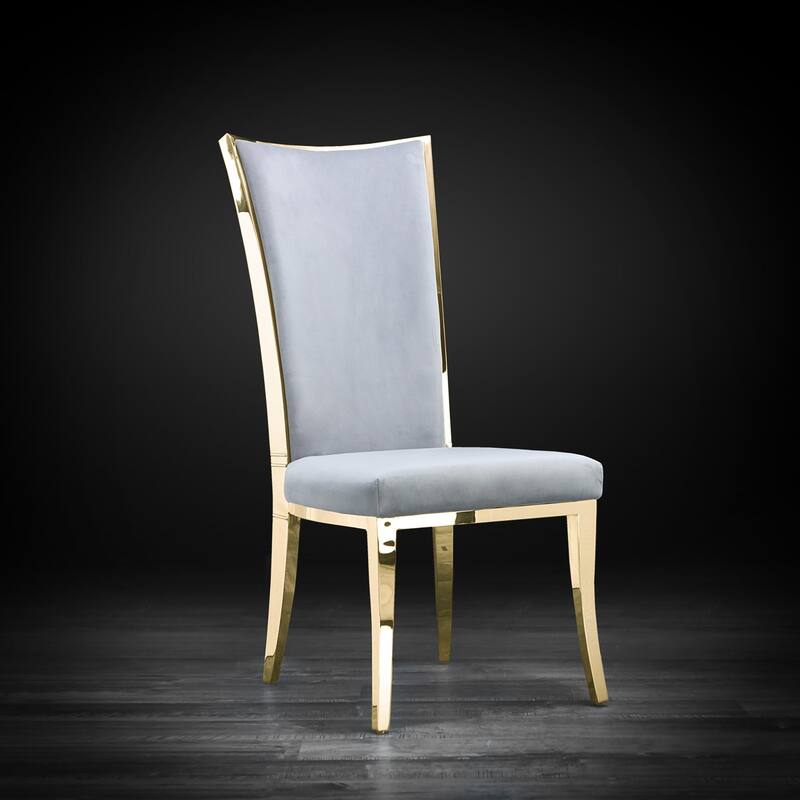 Massimo Titanium Gold Stainless Steel Dining Chair, Set of 2