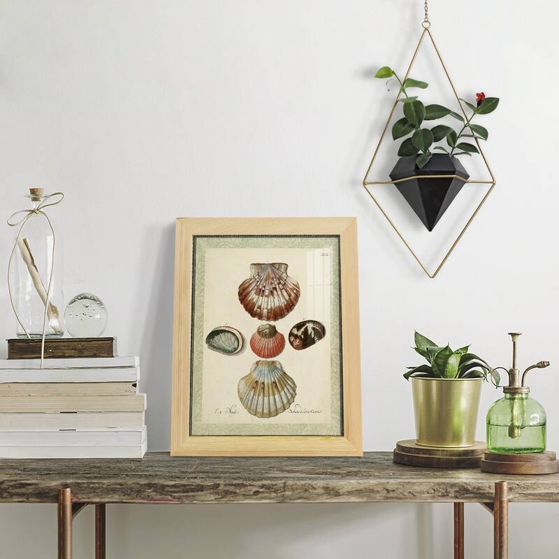 Bookplate Shells III -Framed Print w/glass-Cherry Red