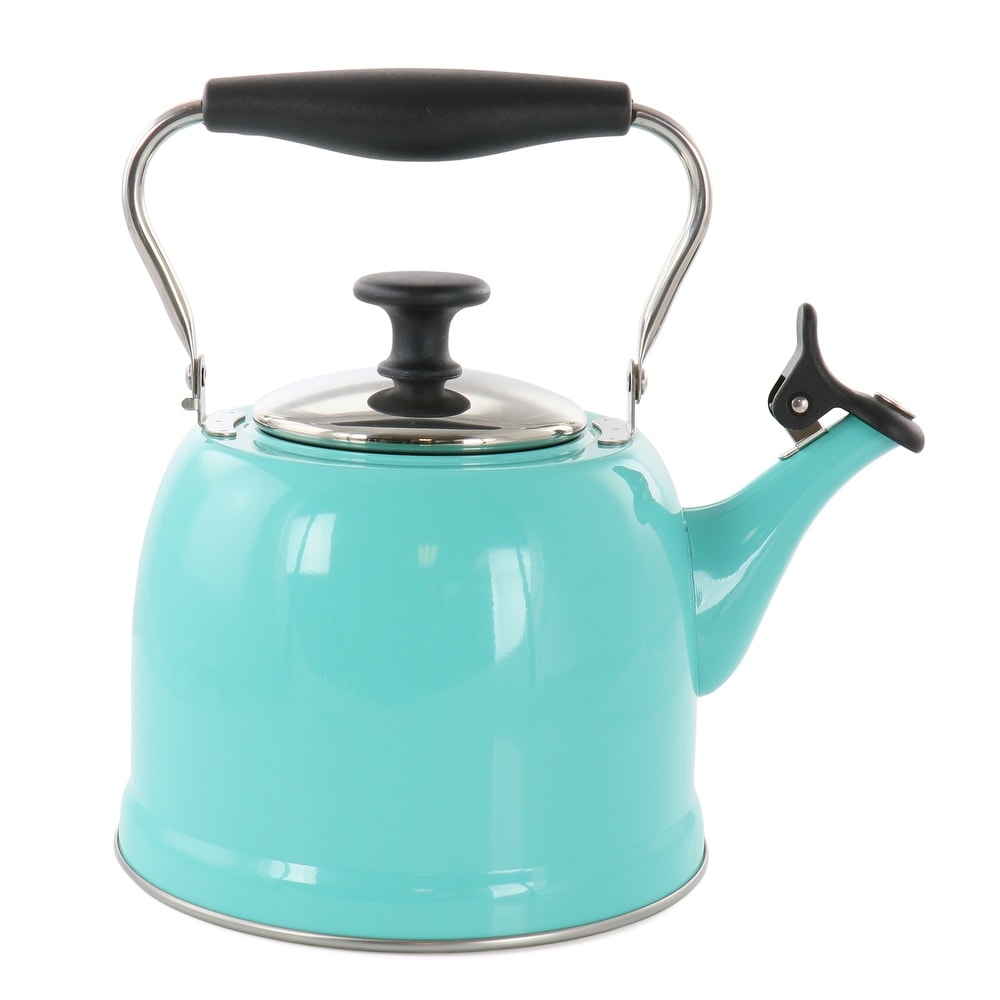 Norpro Stainless Steel Whistling Tea Kettle, Blue 10 x 9 x 8.25