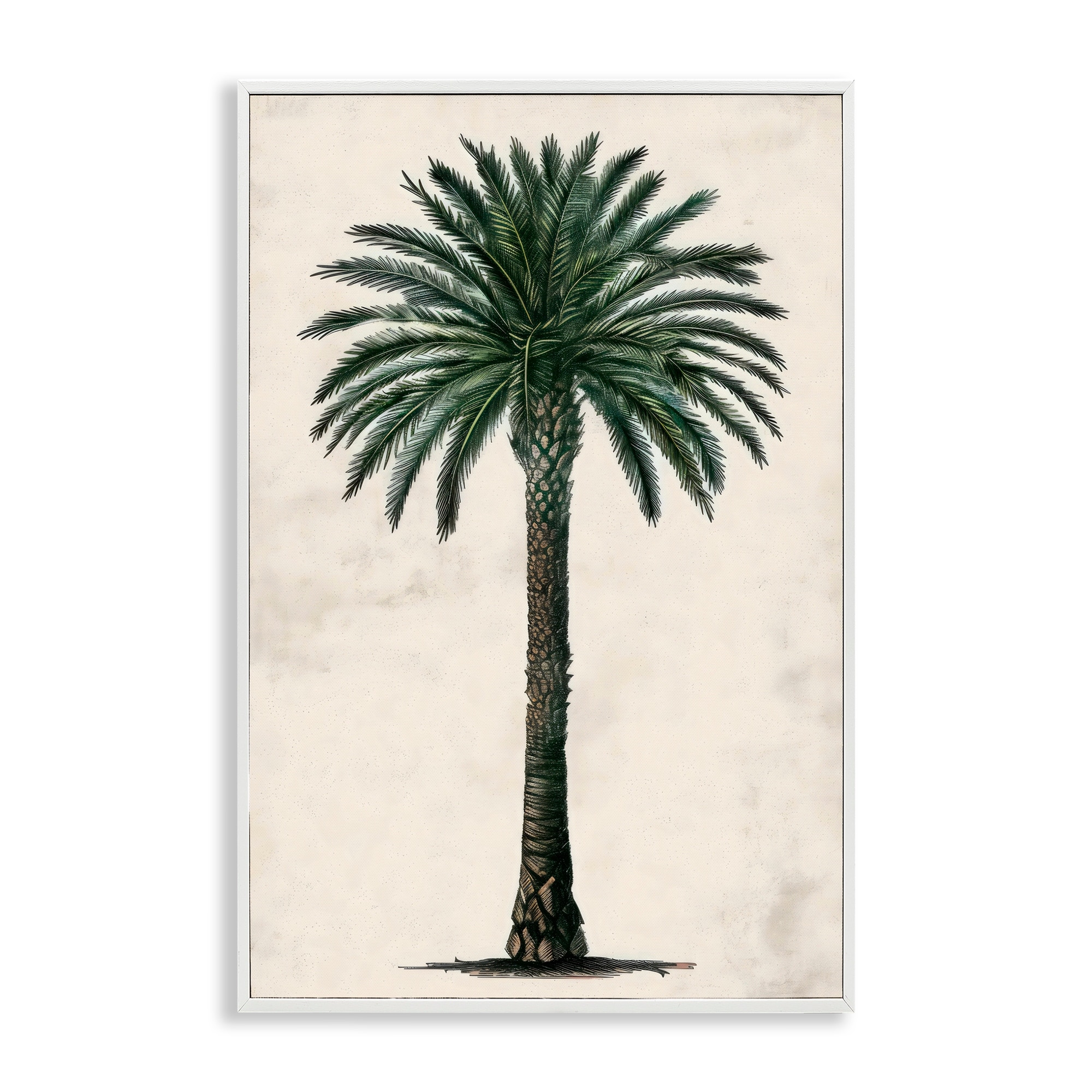 Stupell Botanical Rounded Palm Tree Framed Giclee Art Design By LSR Design Studio
