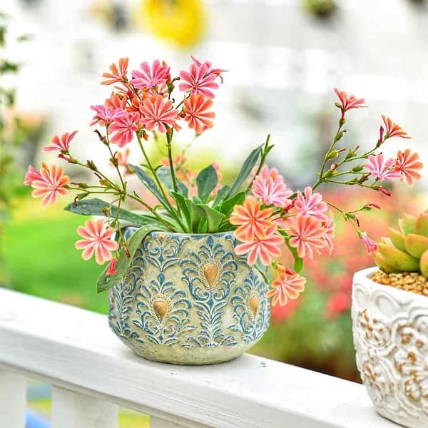 terra cotta pot plant Terracotta Bergs Pot – Magnolia main image 1