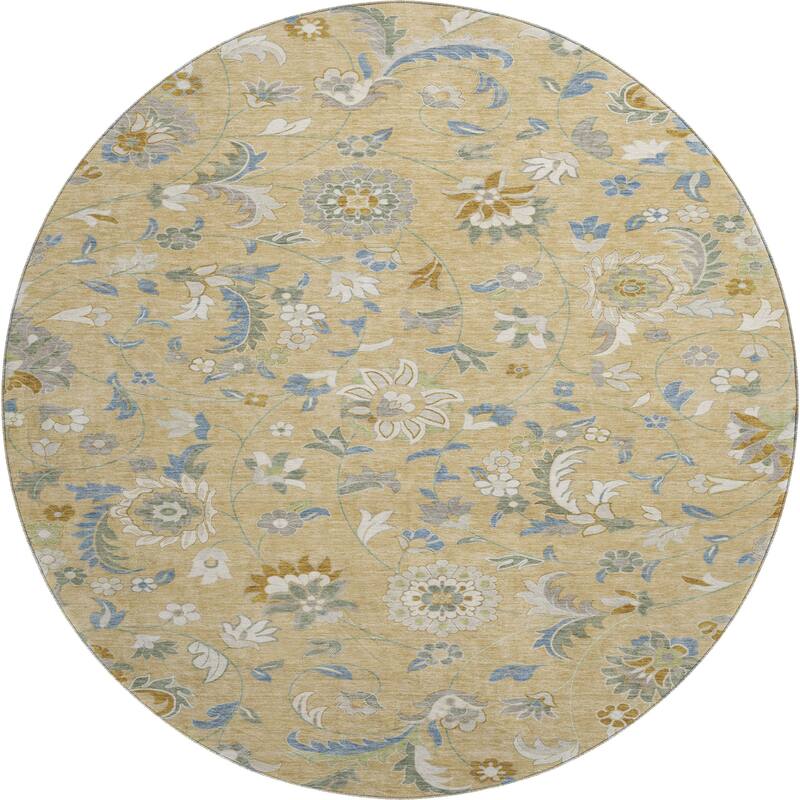 Premium Washable Super Soft Traditional Evie Mayfield Rug