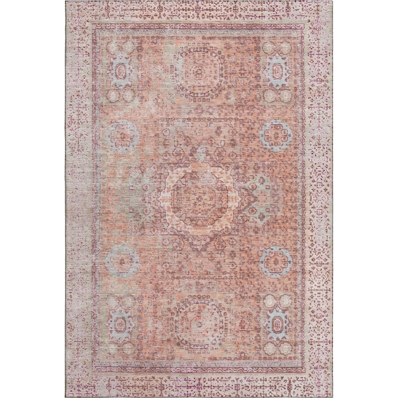 Premium Washable Super Soft Vintage Traditional Mayfield Rug