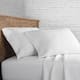 Option White