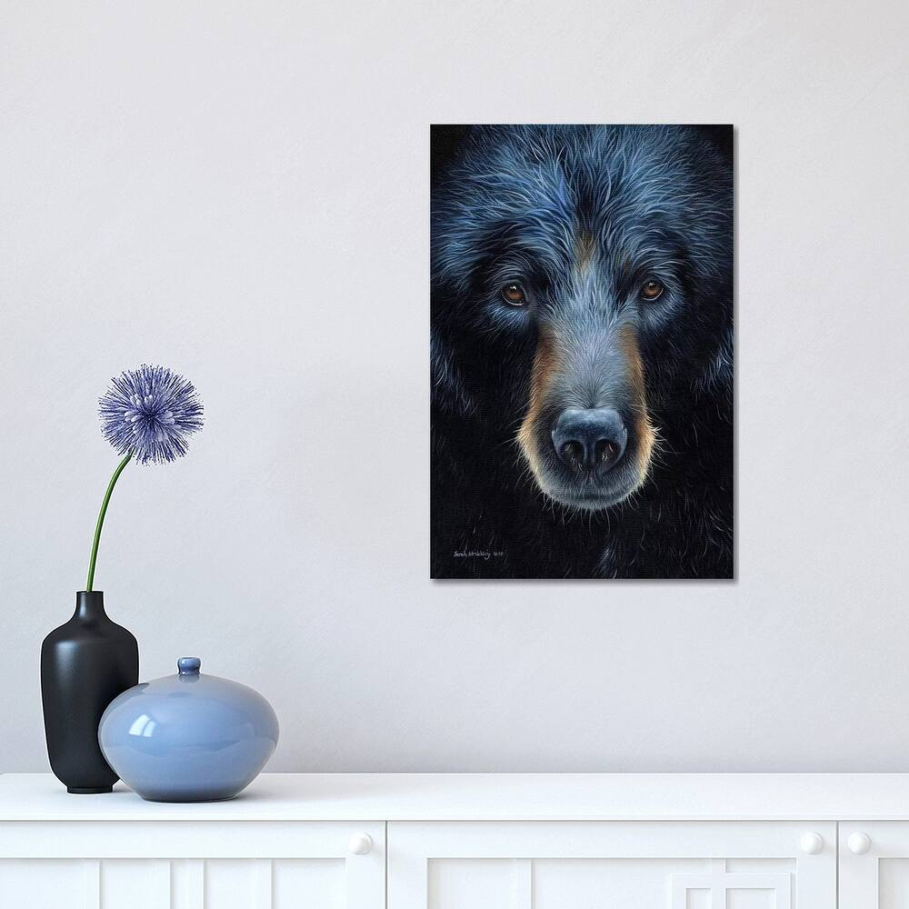 iCanvas "Black Bear I" by Sarah Stribbling Canvas Print